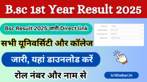 B.sc 1st year Result 2025, (घोषित यहां चेक) बीएससी 1st ईयर रिजल्ट जारी, किया यहां चेक करो नंबर से