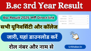 Bsc 3rd year Result 2025, (घोषित यहां चेक) बीएससी 3rd ईयर रिजल्ट 2025 जारी, किया यहां चेक करें नंबर से: