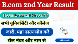 Bcom 2nd year Result 2025, (बीकॉम सेकंड ईयर रिजल्ट 2025) जारी, यहां से डाउनलोड करें, Bcom Result Info
