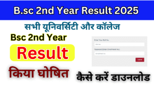 B.sc 2nd year Result 2025, (बीएससी द्वितीय वर्ष का परिणाम) जारी, जल्दी यहां चेक करें B.sc रिजल्ट