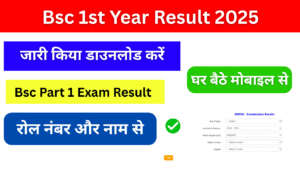 Bsc 1st Year Result 2025, (बीएससी फर्स्ट ईयर रिजल्ट 2025) जारी, किया यहां चेक करें Bsc Result 2025