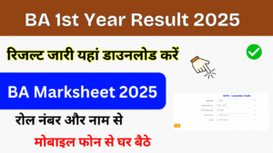 BA 1st Year Result 2025, घोषित यहां से चेक करें, अभी बीए प्रथम वर्ष का परिणाम, BA Result Marksheet