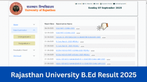 Rajasthan University B.Ed Result 2025: OUT: राजस्थान यूनिवर्सिटी B.Ed 1st, 2nd Year Result जारी, Direct Link- result.uniraj.ac.in